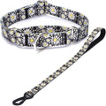 Martingale Collar and Leash Set, Premium No Slip Martingale Collar for Dogs Medium Large, Girl Dog Collars Training (NO32, M)