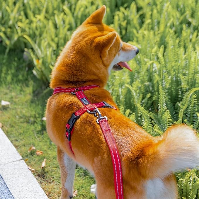 EXCELLENT ELITE SPANKER No Pull Dog Harness Reflective Nylon Vest L-Shaped Adjustable Easy Pet Harness for Small Medium Large Breeds Dogs Walking Training Black Red(Black-L)
