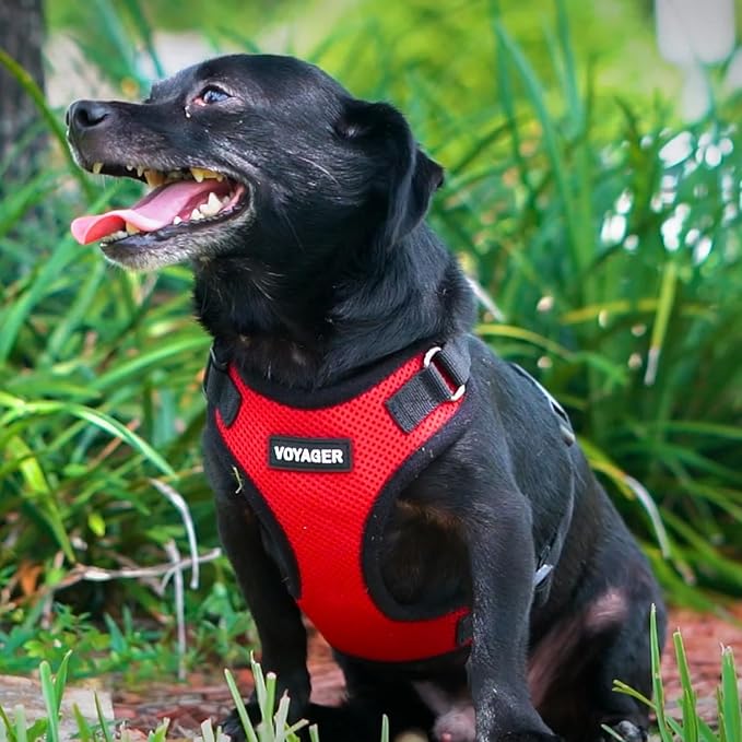 Voyager Step-in Pet Harness - All Weather Mesh, Adjustable Step in Harness for Cats and Dogs by Best Pet Supplies - Red/Black Trim, XS