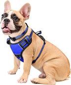 WINSEE Dog Harness No Pull, Pet Harnesses with Dog Collar, Adjustable Reflective Oxford Outdoor Vest, Front/Back Leash Clips for Small, Medium, Large, Extra Large Dogs, Easy Control Handle for Walking