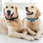 Replacement Collar for Shock Training Bark Collar,Dog Shock Collars Replacement, Nylon Replacement Collar Strap for E Collar Wireless Dog Fence Receivers（2 Piece, Blue+Black）