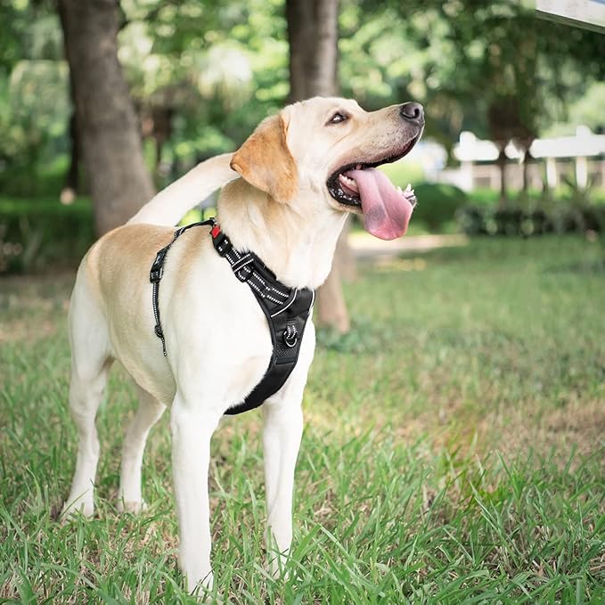 PoyPet Dog Harness No Pull, Reflective Vest Harness with Front & Back 2 Clips and Easy Control Handle for Small Medium Large Breed Dog (Large, Black)