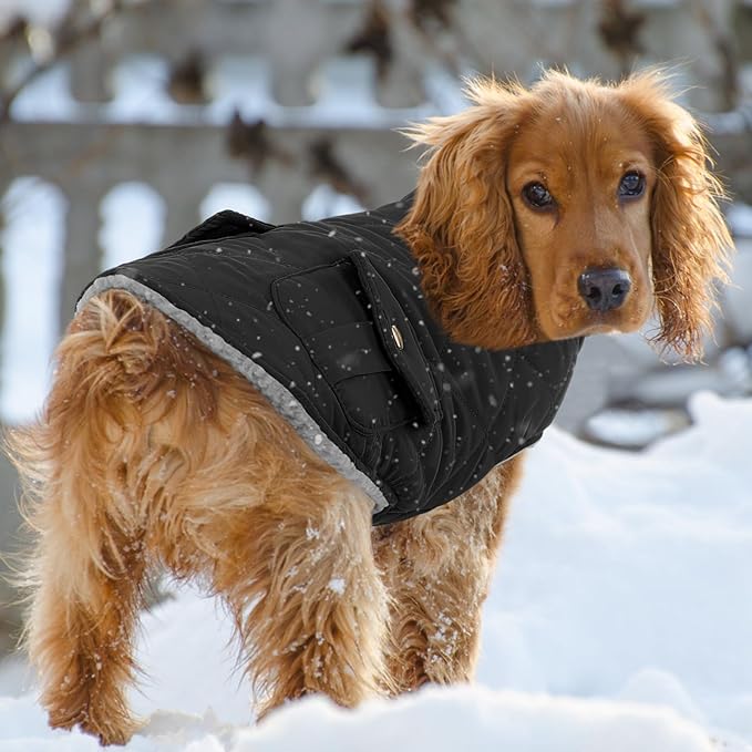 Queenmore Dog Winter Coat Warm Puffer Jacket Waterproof Plush Lining Thermal Cold Weather Vest for Small Medium Large Dogs, Windproof Easy On Pet Jacket Black XS