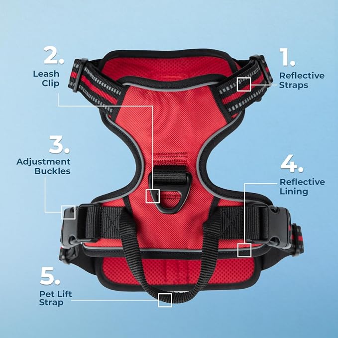 Voyager Dog Harness Dual Leash Attachment No-Pull Control Adjustable Soft but Strong Pet Harness for Medium and Large Dogs with 3M Reflective Technology, Red Lattice Nylon, L (Chest: 25-30")
