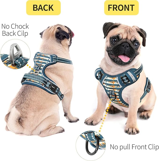 HEELE Dog Harness, No Pull Adjustable Padded Reflective Harness for Small Medium Large Dogs with Handle for Walking Training, Flower-Sunset Valley, L