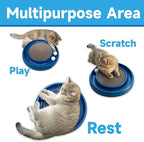 Interactive Cat Ball Track Toy for Indoor Cats, Cat Scratching Board & Exercise Set for Bored Indoor Adult and Kitten Mental & Physical Stimulation, with Spare Ball to Prevent Loss (Blue)
