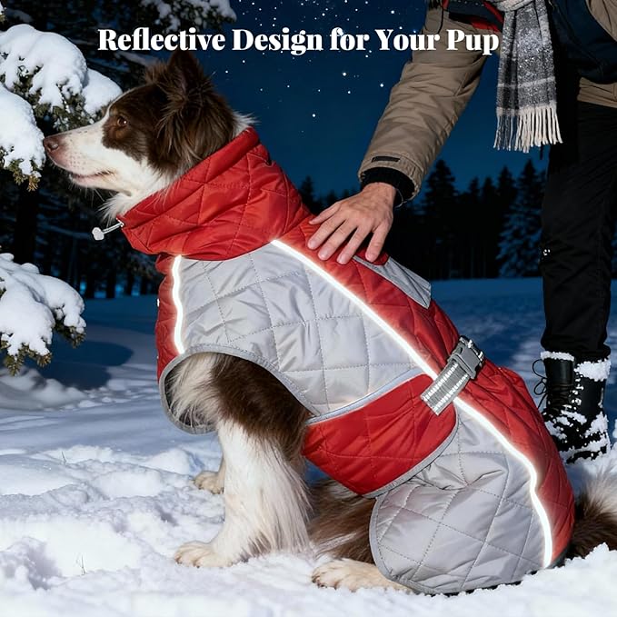 Dog Coat Dogs Jacket Waterproof Reflective Adjustable Dog-Winter Coats for Small/Medium/Large Dogs Dachshund Coat-(Red, X-Small)
