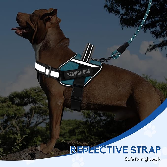 Service Dog Harness (Medium, Light Blue) with Reflective Strips, Leash, and 10 Patches, for Dog Training and Walking