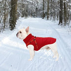 Geyecete Winter Warm Coat Waterproof Dog Winter Jacket with Harness Traction Belt,Windproof Pet Outdoor Jacket Dog Autumn-Red-M