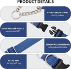 Martingale Dog Collar with Quick Release Buckle Steel Chain No Pull Training Reflective Collar for Medium Large Dogs(Blue, Large)