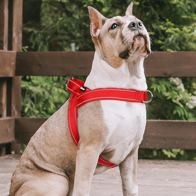 rabbitgoo Dog Harness No Pull, Quick Fit for Large Dogs with Soft Padded Handle, Chest Adjustable Reflective Pet Vest, No Choke Escape Proof for Walking Training, Red XL