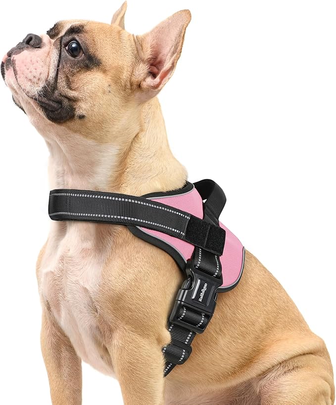 rabbitgoo Dog Harness Small Sized, No Pull No Choke Pet Vest, Easy Wearing with One Buckle, Reflective, Adjustable Pet Harness with Molle for Walking, Training, Pink, S