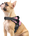 rabbitgoo Dog Harness Small Sized, No Pull No Choke Pet Vest, Easy Wearing with One Buckle, Reflective, Adjustable Pet Harness with Molle for Walking, Training, Pink, S