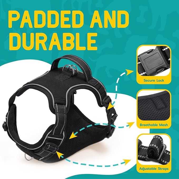 No Pull Dog Harness and Leash Set for Small Dogs – Adjustable Reflective Breathable Soft Padded Easy Control Dog Harness for Training & Walking, Black (Small)