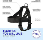 DF Co. Dog Harness | Chafe Resistant Webbing, Adjustable Neck & Chest, and Heavy Duty D-Ring | Sturdy, Comfortable, Easy to Use | Black, Size L