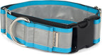 If It Barks - 1.5" Reflective Martingale Collar with Quick Snap Buckle for Dogs - Adjustable - Made in USA - Strong, Durable, and Comfy - Ideal for Training - Fits Most Breeds - Medium, Turquoise