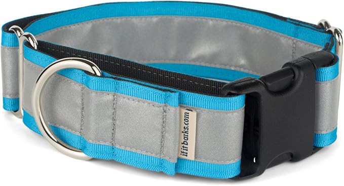 If It Barks - 1.5" Reflective Martingale Collar with Quick Snap Buckle for Dogs - Adjustable - Made in USA - Strong, Durable, and Comfy - Ideal for Training - Fits Most Breeds - Medium, Turquoise