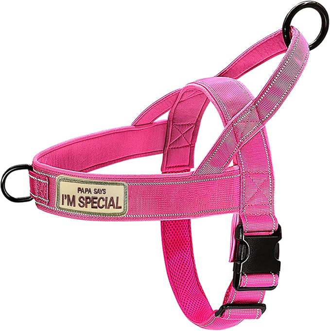 No Pull Dog Harness Pink for Small Medium Large Sized Dog, Reflective Escape Proof Adjustable Dog Harnesses with 2 Patch, XL