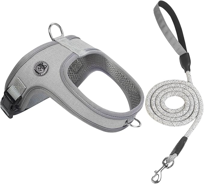 Dog Harness and Leash Set, No Pull Saddle Style Pet Harness, Breathable Mesh Adjustable Reflective Dog Vest for Dogs and Cat Medium Small Harness 2 D-Rings (Grey, XS)