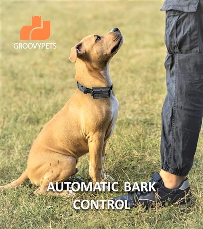 1100 YD Remote Dog Training Shock Collar w/Auto Anti Bark, Humane Beep, Vibration, Static Shock and Waterproof Long Lasting Rechargeable Battery for Small Medium Large Dogs (One-Dog Kit)