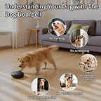 Wireless Dog Doorbell for Potty Training to Go Outside, Waterproof Pet Bell with 2 Touch Buttons and 1 Receiver, 1000 Feet Range, 60 Melodies & Adjustable Volume, White