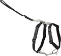 PetSafe 3 in 1 Dog Harness - No Pull Solution for Dogs - Reflective Dog Harness - Front D-Ring Clip Helps Stop Pulling - Comfortable Padded Straps - Top Handle Enhances Control - Black - Extra Small