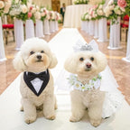 SCENEREAL Small Dog Wedding Dress 4-Piece Set with Tutu Skirt, Bow Veil, Flower Collar and Bandana, My Humans are Getting Married for Small Dogs Cats