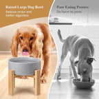 Elevated Ceramic Large Dog Bowl - Raised Dog Dish with Bamboo Stand - Heavy Weighted, No Tip Over, Comfortable Eating - 8.4" Diameter - 4.5 Cups - 68 fl oz - Grey