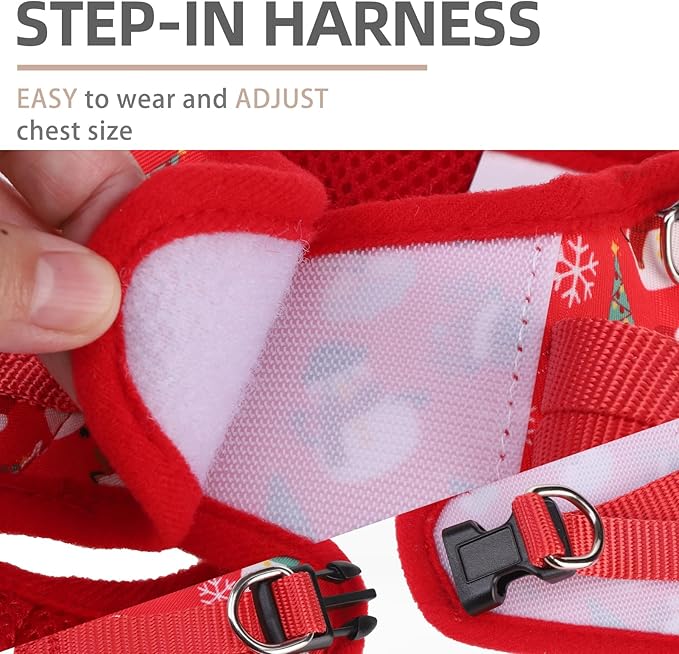 PUPTECK Dog Harness and Leash Set for Small Medium Dogs No Pull Step-in Soft Mesh Puppy Cat Vest Harnesses Reflective at Night, Christmas, S