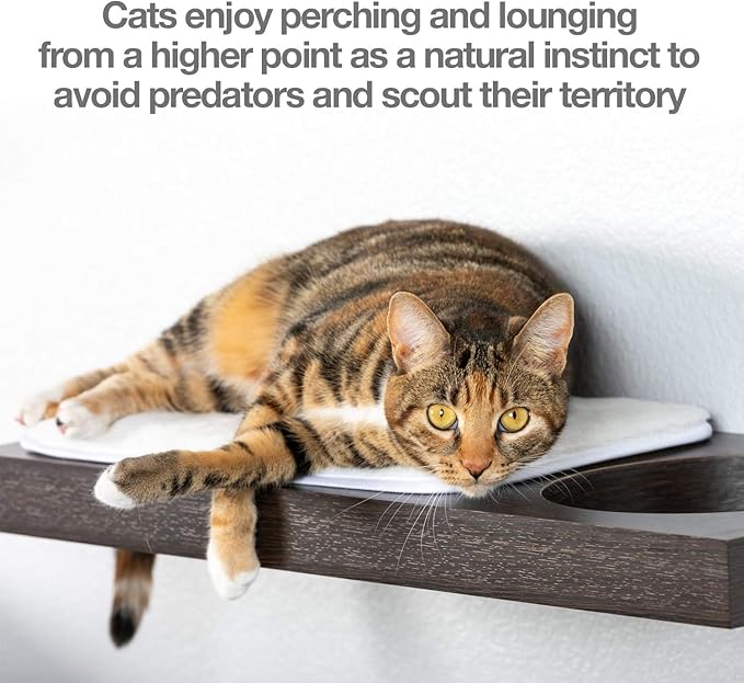 PetFusion Cat Activity Wall Shelves (Available as a 3-Piece Set or Individual Shelf.) Sisal Surfaces for Cat Scratching & Plush to Lounge, Neutral Design & Color Tones. Easy & Secure Wall Mount