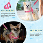 Lukovee No Pull Dog Harness and Leash Set, Soft Padded Small Dog Harness, Neck & Chest Adjustable Reflective Vest Puppy Harness with 4ft Lightweight Anti-Twist Dog Leash for Small Dogs (Pink, Large)