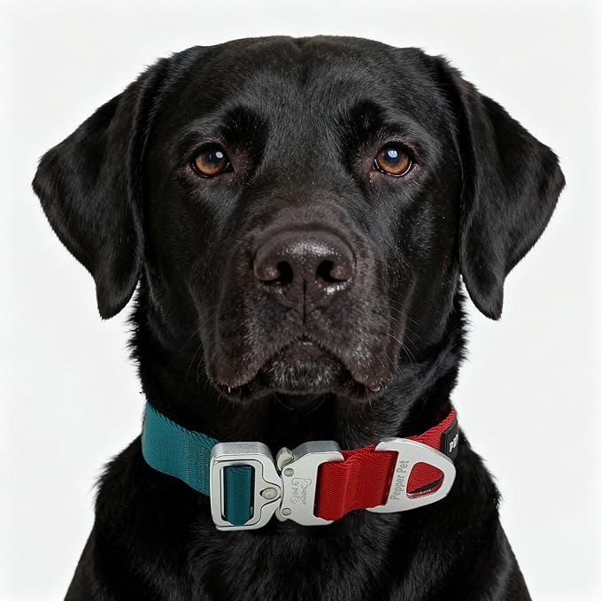 Heavy Duty Tactical Dog Collar,Metal Buckle Quick Release Collar for Large Dogs,1700 LB Strength Tested,Dual Color Nylon Collar for Walking,Training & Hunting