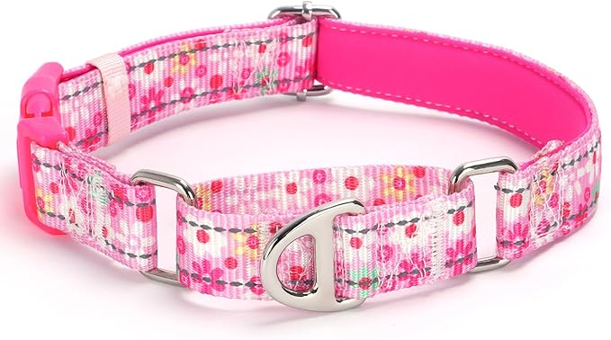 Pink Floral Martingale Collar for Dogs - Reflective Nylon with Quick Release Buckle & Padded Comfort - No Slip Choke Heavy Duty Collar for Training, Walking & Nighttime Use M