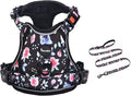 Petmolico XS Dog Harness and Leash Set, No Choke 4 Leash Attachments Easy Control Handle Soft Padded Reflective Vest for Small Dogs, Rose