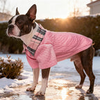 SCENEREAL Dog Sweaters for Small Medium Dogs, Pet Hoodie Sweatshirts Winter Knitted Pullovers with Fashion Shirt Collar, Puppy Clothes Cold Weather Coats, Pink S