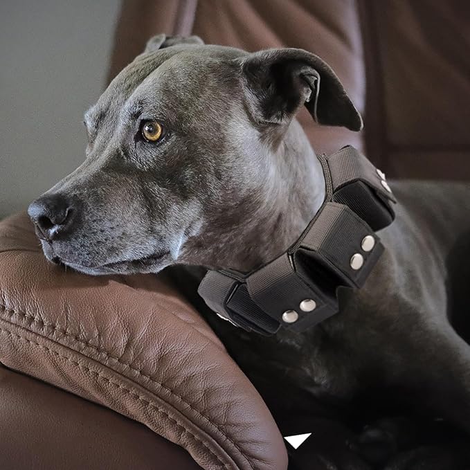 Tactical Weighted Dog Collar - Weights for Training & Exercise - Small, Medium, Large Dogs
