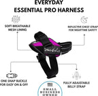 ShawnCo Essential Pro Dog Harness, No-Pull Pet Vest with 3 Leash Clips and Removable, Reflective Side Patches, Adjustable and Padded Harness for Small, Medium and Large Dogs (Orchid, S)