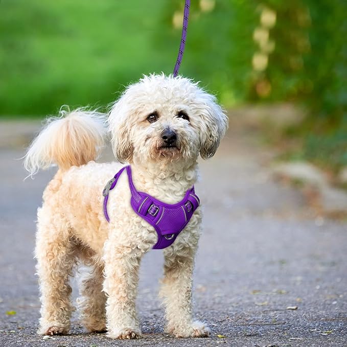 BARKBAY No Pull Dog Harness Large Reflective Dog Harness with Front Clip and Easy Control Handle for Walking Training Running with ID tag Pocket(Purple,S)