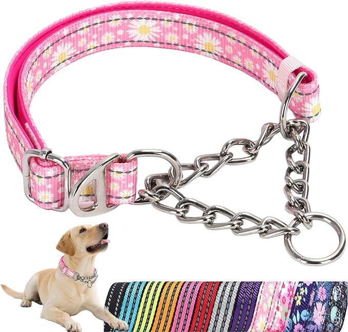 Martingale Dog Collar with Chain,Pink Daisy No-Pull Dog Collar Adjustable Comfortable Reflective Choke Dog Collar for Training & Walks（Pink Daisy Medium