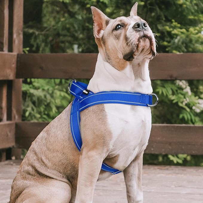 rabbitgoo Dog Harness No Pull, Quick Fit for Medium Sized Dog with Soft Padded Handle, Chest Adjustable Reflective Pet Vest, No Choke Escape Proof for Walking Training, Blue M