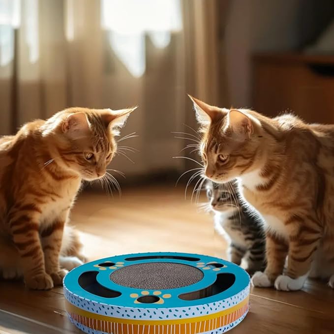 3-in-1 Cat Scratcher Toy, 13 Inch Round High-Density Corrugated Paper Puzzle Mat & Lounge for Indoor Cats, Reinforced Scratch-Resistant Board for Furniture Protection (Mint Green)