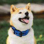 Tuff Pupper Heavy Duty Tactical Dog Collar | 1.5" Wide Ballistic Nylon | Reflective Stitching | Integrated ID Tag Holder | Stainless Steel Buckle | Padded Lining | Medium & Large Dogs (Blue, Medium)