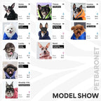Winter Dog Coat for Female Pups with Full Belly Coverage, Girl Dog Clothes, Snow Jacket for Dogs, Snowsuit, Winter Coat for Dogs for Cold Weather, Ideal for Small Medium Dogs (Large)