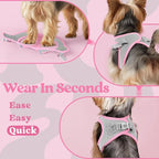 rabbitgoo Small Dog Harness, Step-in Soft Mesh Puppy Vest with Safety Buckle, Breathable Reflective Pet Harness for Small Sized Dogs, Pink & Gray XS