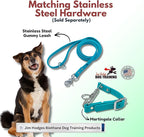 Martingale Collar for Dogs, Biothane, Stainless Steel Hardware, No Pull, Made in The USA, Professional Grade, Small, Teal
