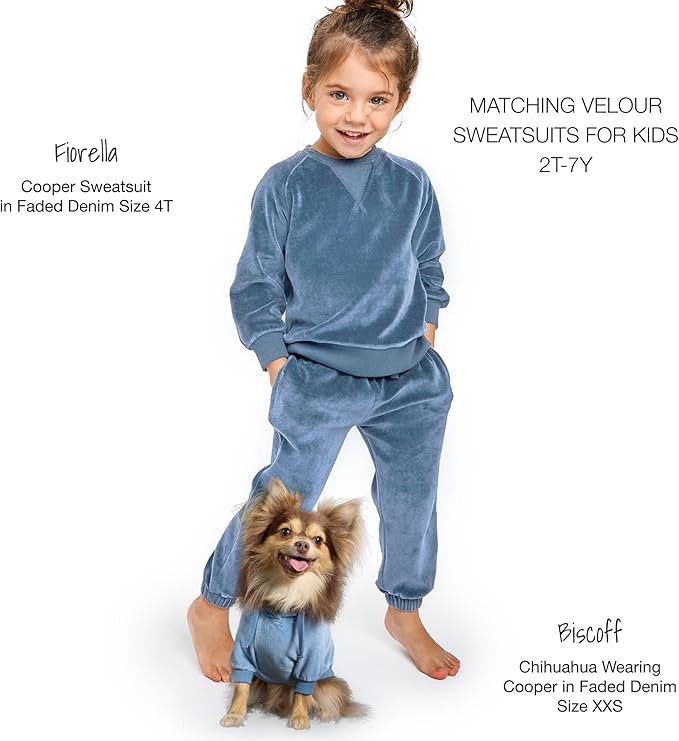Cooper II Organic Cotton Velour Dog Hoodie Pet Coat for Small, Medium and Large Dogs, Faded Denim, X-Small (5-12 lbs)