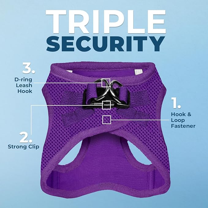 Best Pet Supplies Voyager Step-in Air All Weather Mesh Harness and Reflective Dog 5 ft Leash Combo with Neoprene Handle, for Small, Medium and Large Breed Puppies - Set (Purple), XL