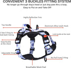 Petmolico No Pull Dog Harness and Leash Set, No Choke 4 Leash Attchments Easy Control Handle Soft Padded Reflective Vest Dog Harness for Medium Dog Breed, Daisy Medium
