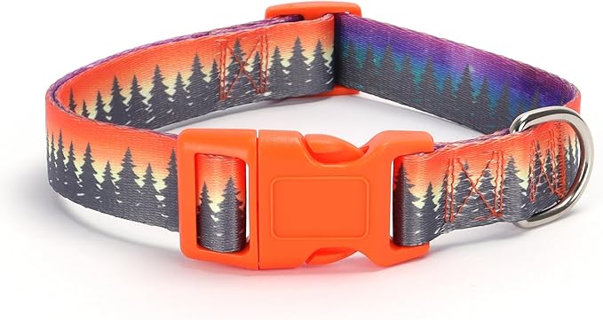 Dog Collar with Leash Airtag Holder Case Set - Dog Collars for Male Female Boy Girl Puppy X-Small Small Medium Large Dogs Walking Running Training - Forest/XS