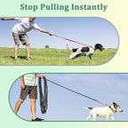Mayerzon Martingale Dog Prong Collar for Pulling, Personalized Vintage Slip Pinch Collar with Buckle for Large Medium Small Dogs for Walking Training and Festivals(L, Vintage)